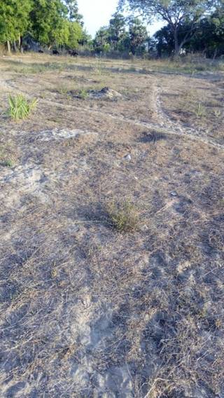 1930 Sq. Yards Agricultural/Farm Land for Sale in Machilipatnam, Krishna